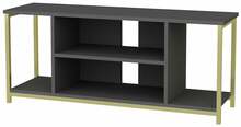 TV-alus Kalune Design Rinaldo, 120 x 35 x 50.8 cm, antratsiit/kuld