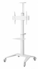 TV alus Reflecta 70VCP-Shelf, valge
