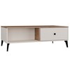 Kohvilaud Top E Shop Point 2S, 110 x 60 x 37 cm, kašmiir/tamm