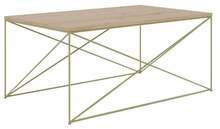 Kohvilaud ADRK Furniture Dante, 100 x 60 x 43cm, kuldne/pruun