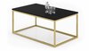 Kohvilaud ADRK Furniture Narisa, 100 x 60 x 43 cm, must/kuldne