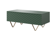 Kohvilaud Bogart Scalia 120 2K, 120 cm, roheline, hoiukastiga, Labradore, matt kuldsed jalad