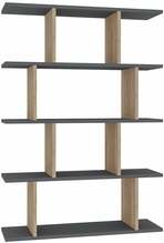 Raamaturiiul Kalune Design Harmon, 90 x 127 cm, hall/tamm