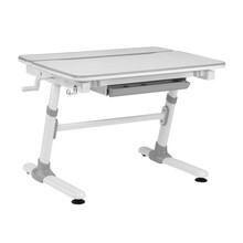 Laste kirjutuslaud Ergo Office, reguleeritava kõrgusega, hall, maks. 100 kg, ER-417 2cz