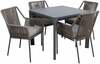 Aiamööblikomplekt Home4you Carves, laud ja 4 tooli, K21190, hall/pruun