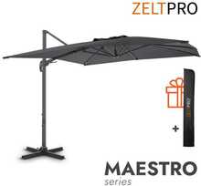 Päikesevari Zeltpro Maestro, antratsiit