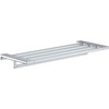Riiul käterätikuivatiga Hansgrohe AddStoris 41751000, kroom