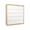 Esikukapp ADRK Esteva 009364, 200 x 58 x 215 cm, tamm/valge