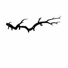 Seinanagi Wallxpert Bough, must, 22 x 87 cm