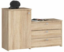 Jalatsikapp Meblocross S16, 33 x 98.4 x 68 cm, tamme värvi