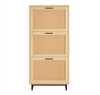 Jalanõudekapp Sobuy FSR155-N, 60 x 24 x 127 cm, heledapruun/must