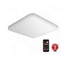 Laelamp Steinel RS PRO, 067878, LED, 23,4 W, 4000 K, IP40