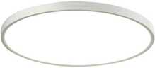 Laelamp Italux Alata PLF-72836-480R-36W-WH, LED, 36W, 2800/4000/6000K, valge, 48 cm