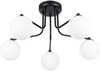 Laelamp Sollux Astral SL.1663, 5xG9, 8W, 230V, must