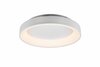 Laevalgusti Trio Girona 671290131, 48 W, LED, 2700-6000 K