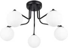 Laelamp Sollux Astral SL.1663, 5xG9, 8W, 230V, must