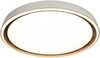 Laevalgusti Italux Rende PLF-63728-3K4K6K-GD-WH-SL, LED, kuldne/valge, 52 cm