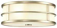 Laelamp Elstead Lighting Fusion FE-FUSION-F-PNBR, 3xE27, 40W, 34,3 cm, kuldne