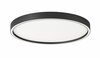 Pinnapealne laelamp Viokef Vanessa, 4292800, 38W, LED, 3000/4000K, dimmerdatav, must, 50 cm