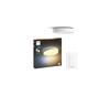 Laelamp Philips Hue Enrave XL, 48 W, valge, 2200-6500 K, dimmeriga