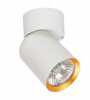 Laevalgusti Milagro Andy, 1xGU10, 8W, 230V, valge/kuldne