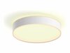 Laelamp Philips Hue Enrave M, 19,2 W, White Ambiance, 2200-6500 K, valge