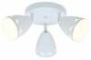Laelamp Candellux Coty, 98-67135, 3xE14, 3x40W, valge matt