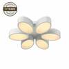 Laelamp Domoletti Almond B1907-6S, 48 W, LED, 3000 K