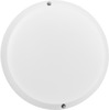 LED laelamp Eurolight Riga PL-R-18W-4000K-E, 18W, 4000K, IP65, o17,5 cm, 1440 lm