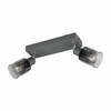 Lae kohtvalgusti Reality Cadiz R81782042, E14, 2x10W, antratsiit, ø 7 cm