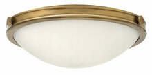 Laevalgusti Elstead Collier HK-COLLIER-F-M, 3xE27, 60W, 230V