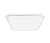 Laevalgusti Milagro Fabio, 35W, 230V, valge