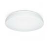 Laelamp Steinel RS 20 S, 079734, LED, 9,4W, 230V, IP44