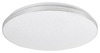 Laevalgusti Rabalux Toma 3875, LED, 30W, IP44, 230V