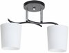 Laelamp Candellux Esnyr, 32-22653, 2xE27, 40W, must/valge