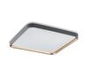 Laevalgusti Rabalux Liatris 71029, LED, 26W, 3000K, 230V
