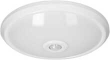 Laelamp Energizer Orno Zonda, 16W, 1100lm, IP20, 4000K, opaalpolükarbonaat, valge