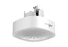 Nutikas laelamp Sengled Pulse Wave MasterCeiling, Bluetooth, 400 g
