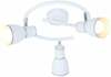 Laelamp Candellux Fido, 40 W, E14, 5598-63380