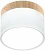 Laelamp Candellux TUBA, 9W, 4000K, valge/beež
