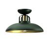 Laevalgusti Milagro Felix, 1xE27, 60W, 230V, roheline