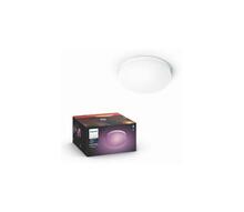 Laelamp Philips Hue Flourish, 32W, RGBW, 230V