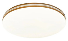 Laelamp Rabalux Oscar, 71173, LED, 18W, 4000K, diameeter 34 cm