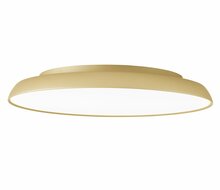 Pinnapealne laevalgusti Viokef Art, 4303600, 40W, 3000K, šampanja