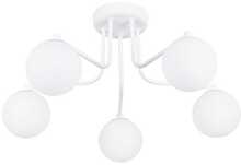 Laelamp Sollux Astral SL.1660, 5xG9, 8W, 230V, valge