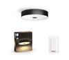 Laelamp Philips Hue Fair, 1x33,5W, must, 3000lm