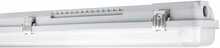Laelamp Ledvance T8 GEN 3, 2xG13, 1585 mm, IP65