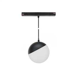 Laelamp Spectrum SYSTEM SHIFT, 5 W, 3000 K, GLOBE P LAMP