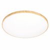 Laelamp Candellux Lighting Tens, 16-33949, 48W, LED, 3000-6000 K, 59 cm, valge
