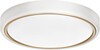 LED laevalgusti Activejet AJE-VERDI, 23W, valge/kuldne